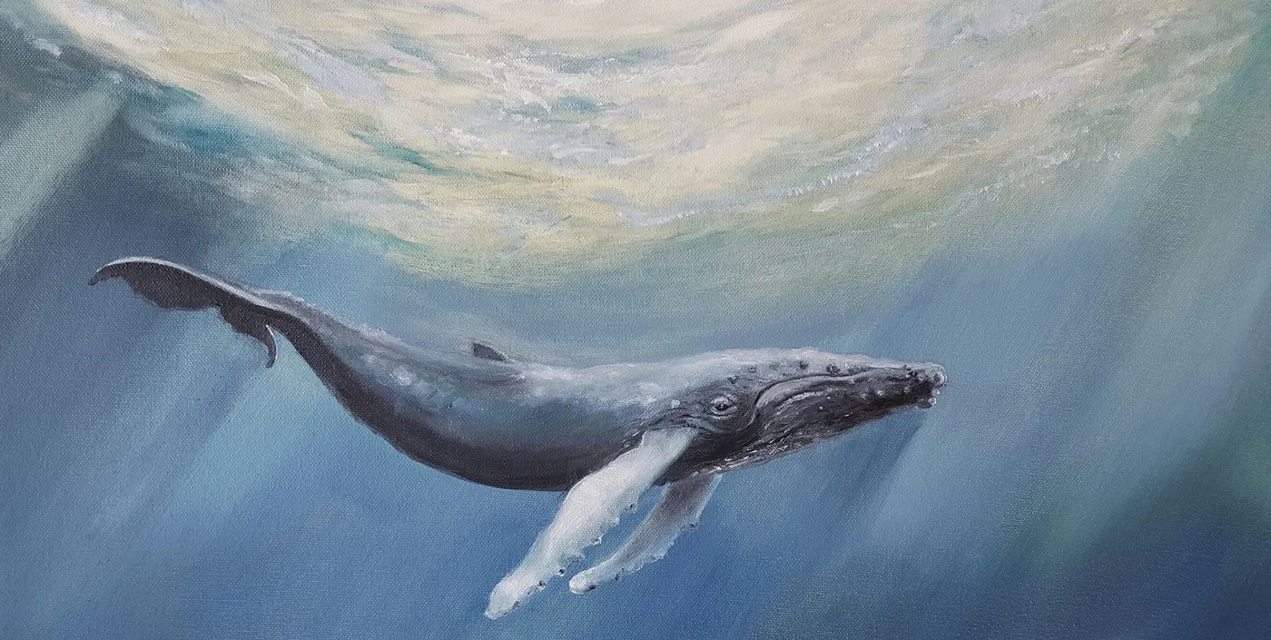 humpback